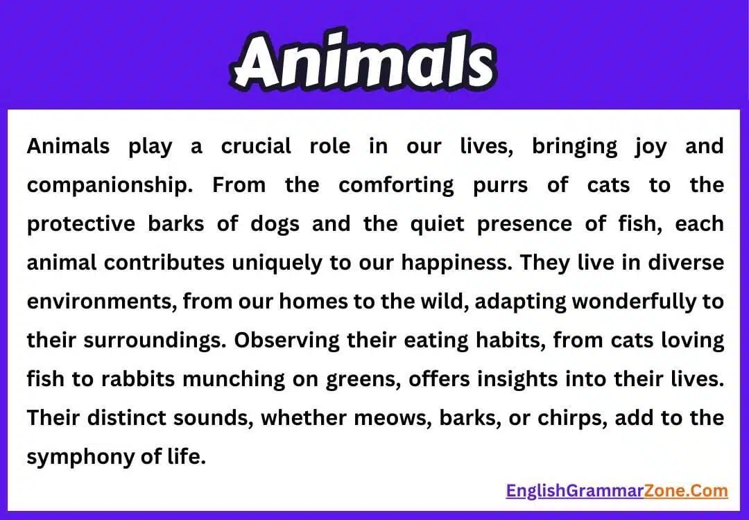 Animals paragraph