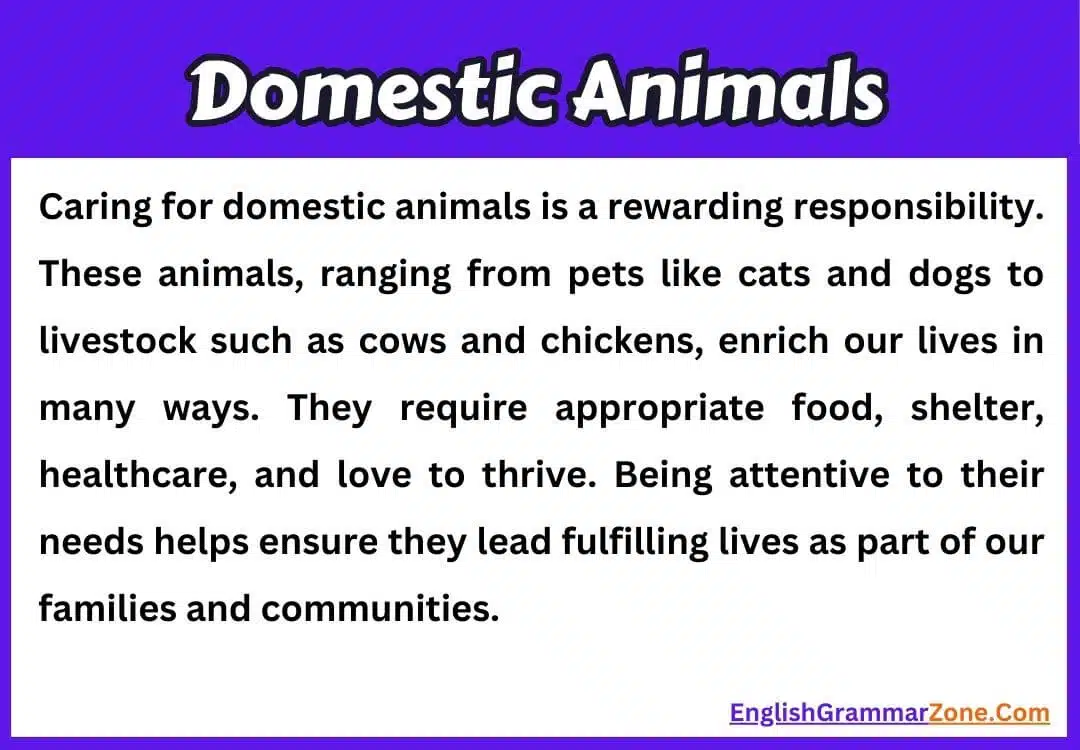 Paragraph on Domestic Animals
