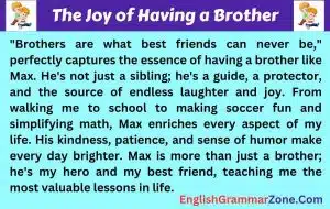 Essay Having a Brother