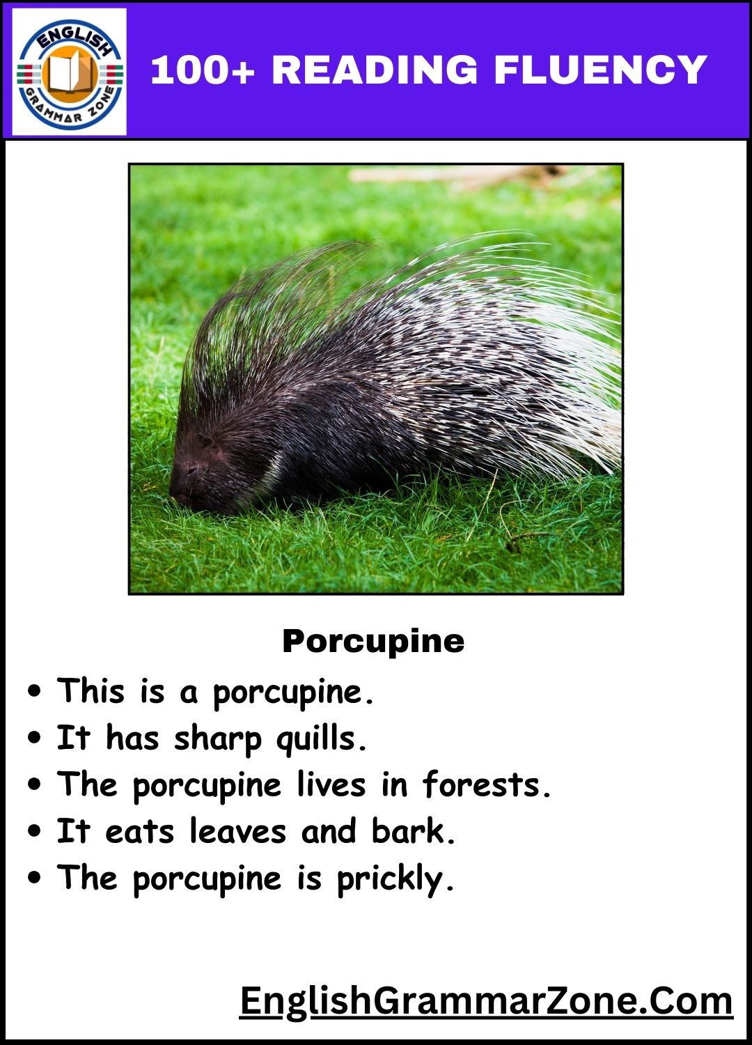 Reader Fluency Practice for Kindergarten
