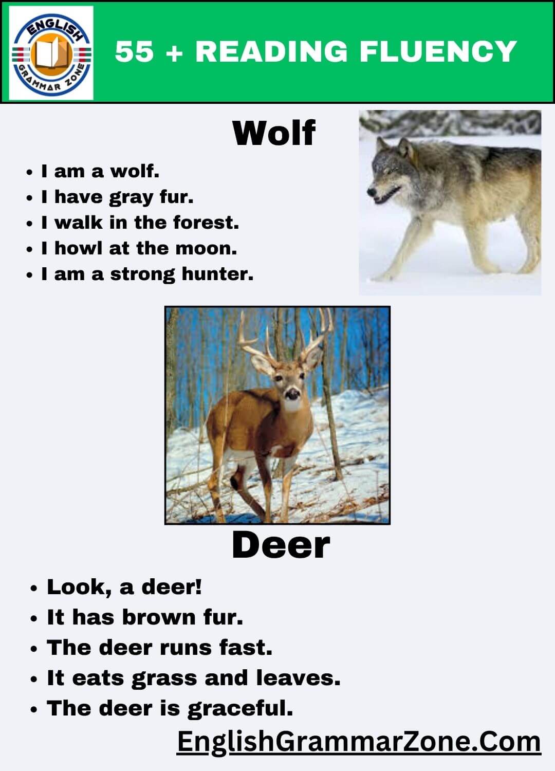 Kindergarten Reading Fluency Exercises