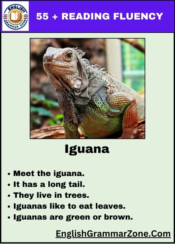 Fun Reading Fluency Practice For Kindergarten