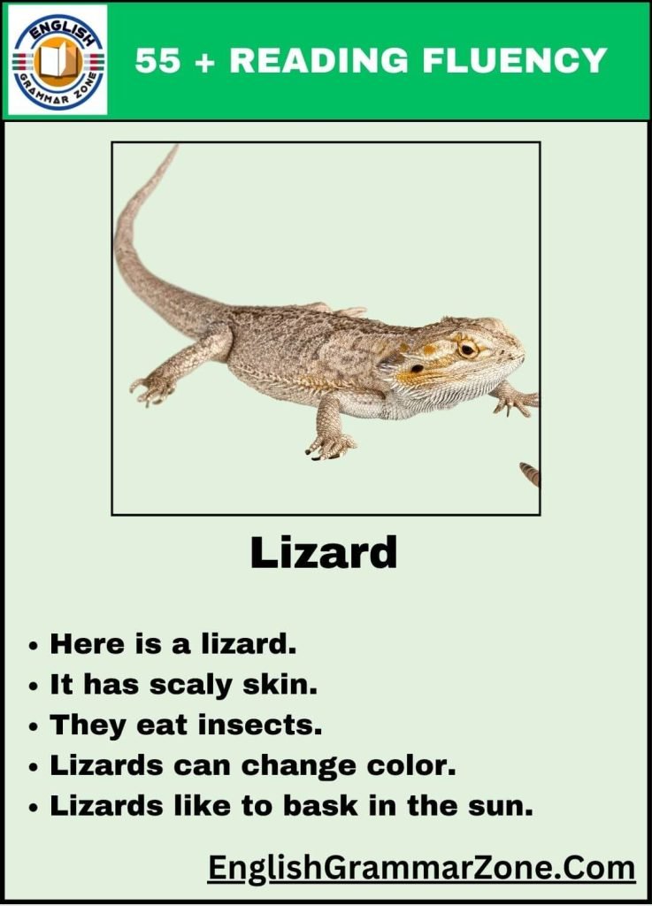 Kindergarten Reading Fluency Challenges