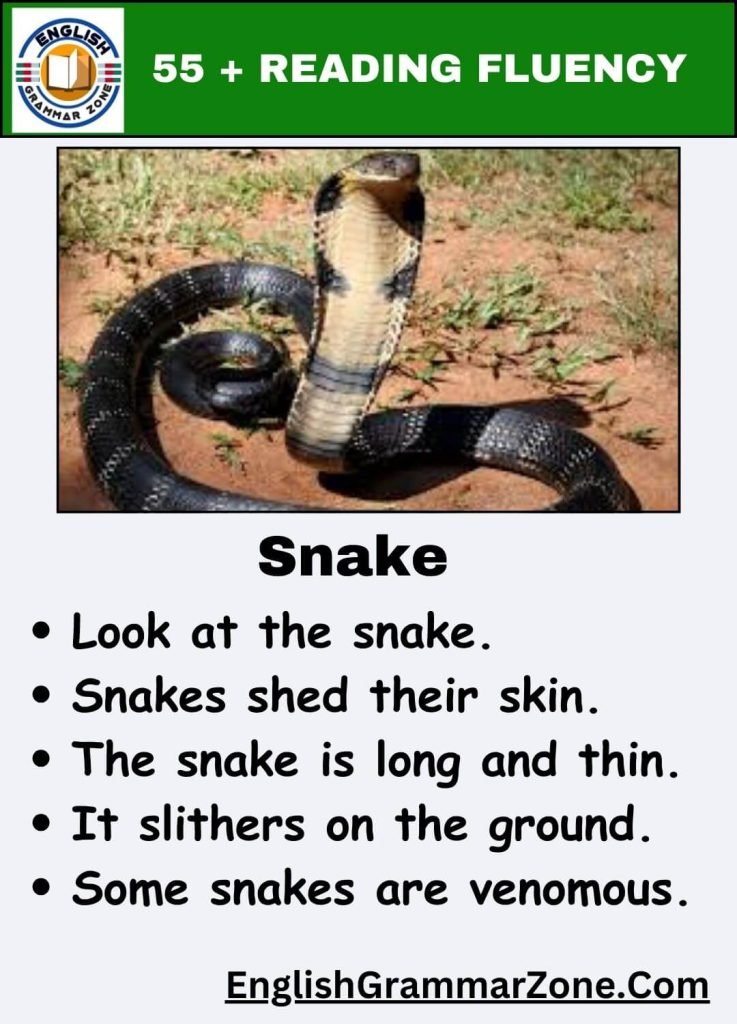 Kindergarten Reading Fluency Challenges