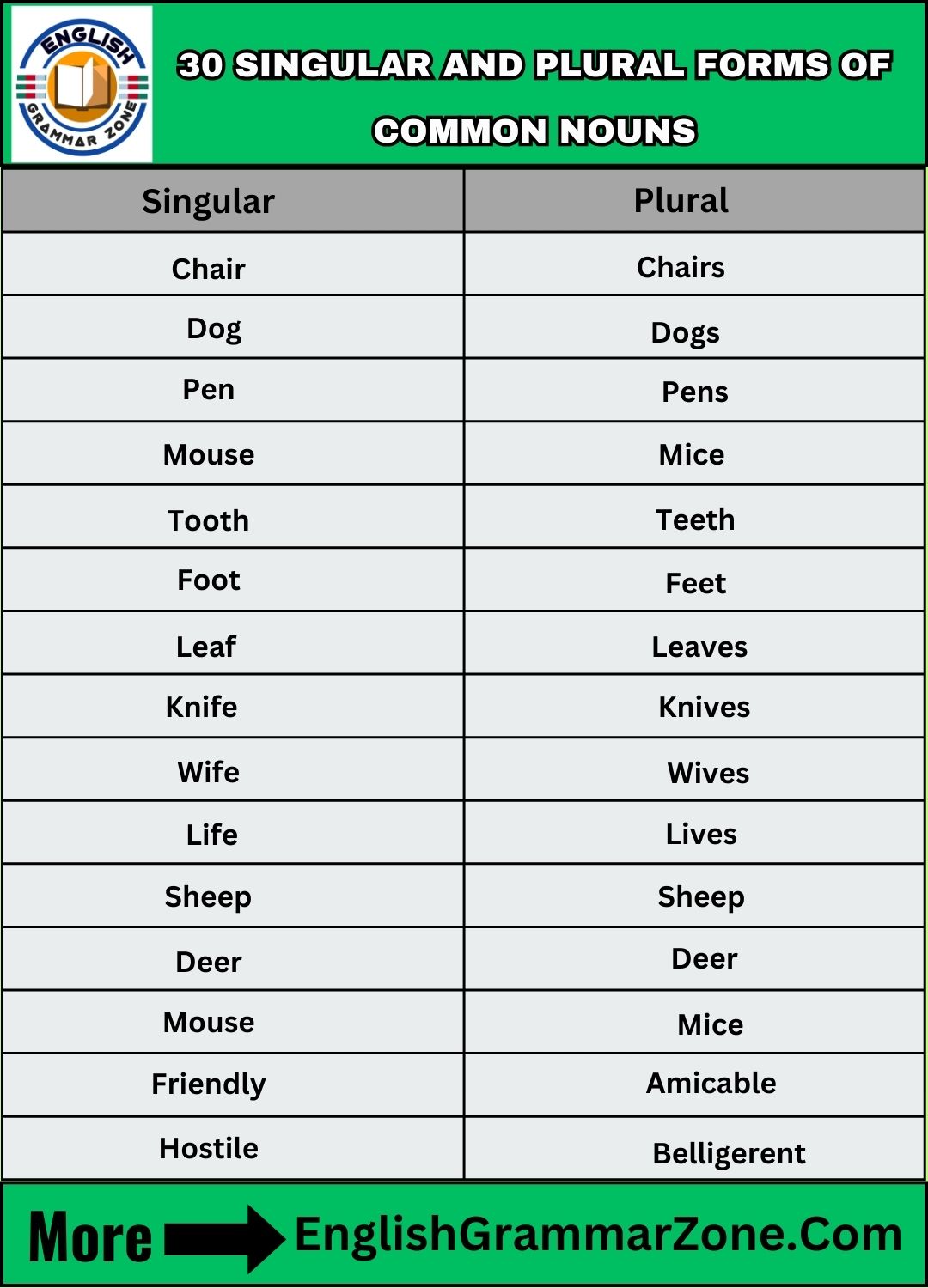 a list of 30 singular and plural forms of common nouns