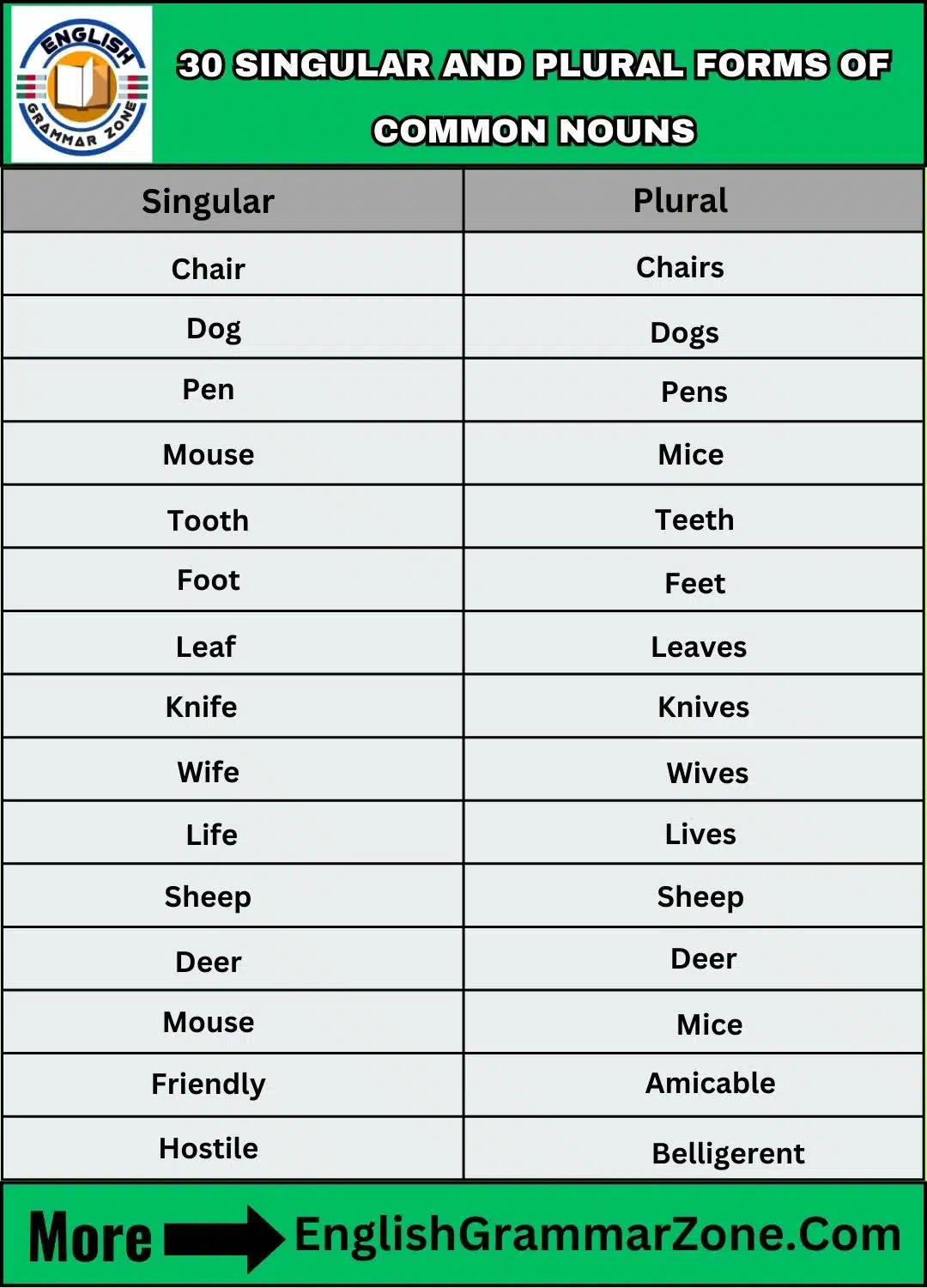 a list of 30 singular and plural forms of common nouns