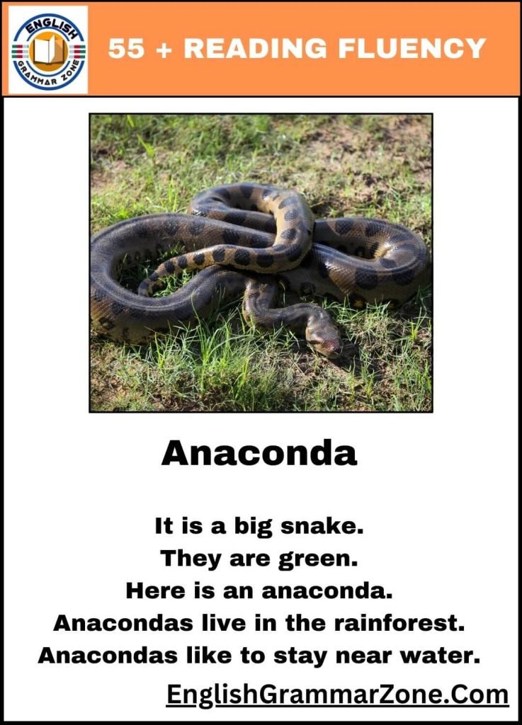 Kindergarten Reading Fluency Exercises