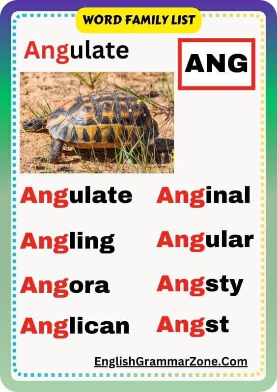 ANG Word Family List : Best Way To Learn