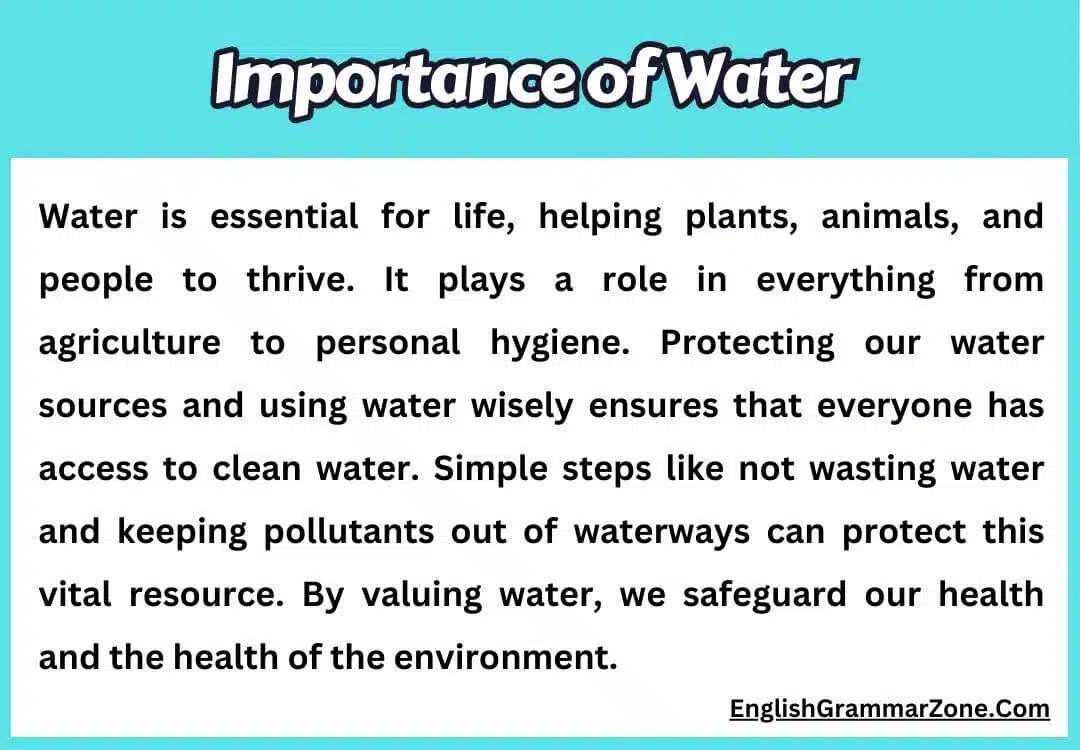 Paragraph on Importance of Water