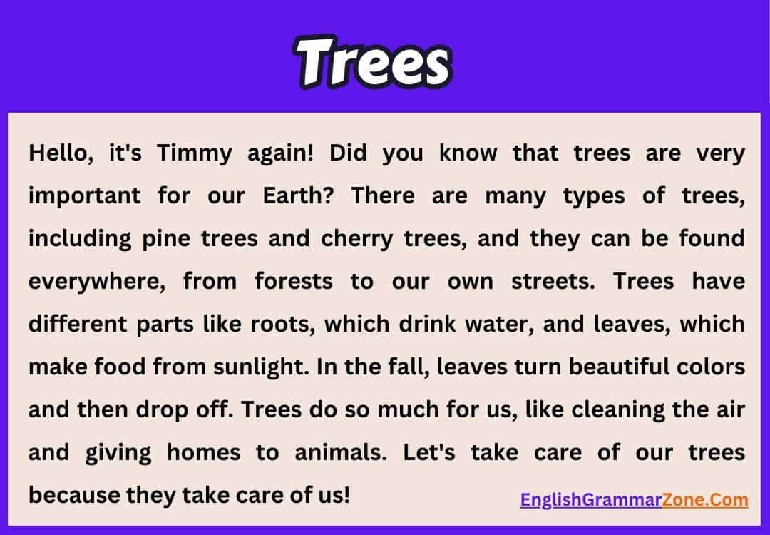 Paragraph on Trees