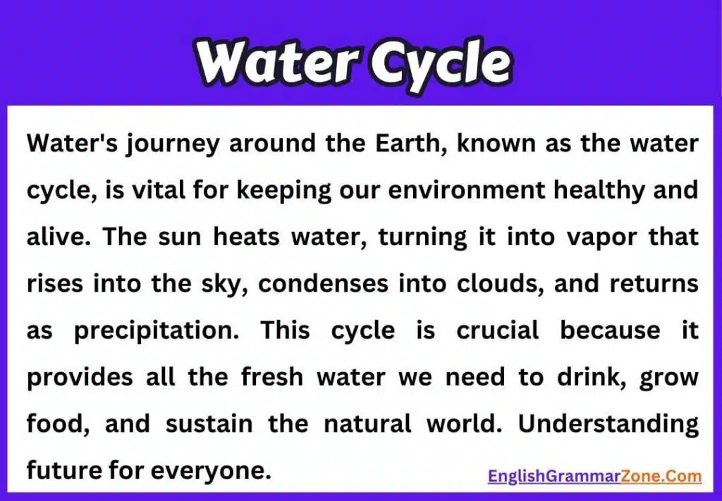 Paragraph on Water Cycle in English
