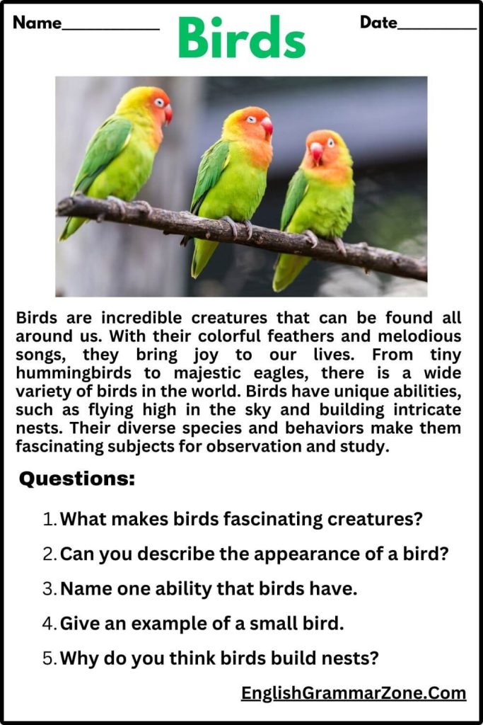 Birds Reading Comprehension Worksheet