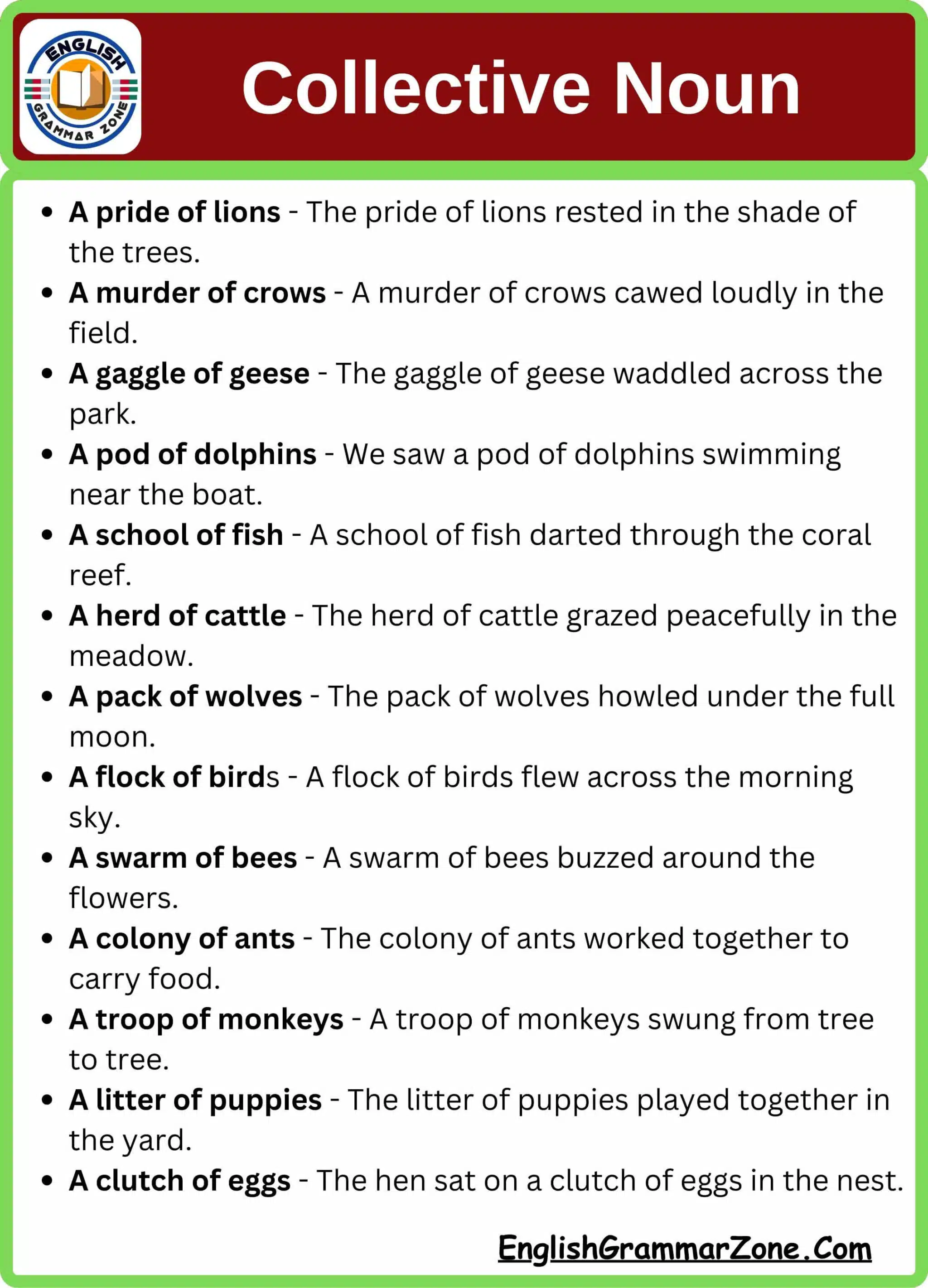 Collective noun with sentence examples