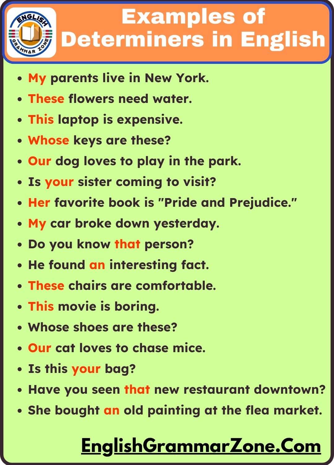 100 Example Sentence of Determiners