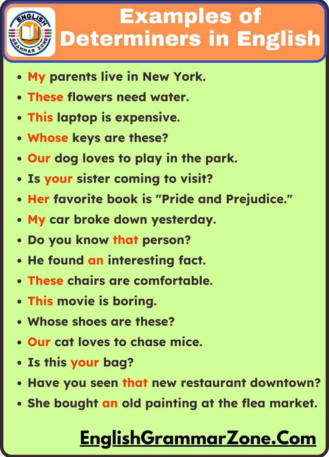 100 Example Sentence of Determiners
