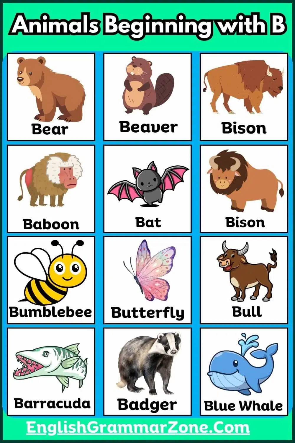 Animals That Start With B