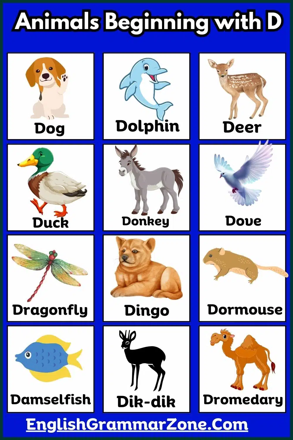 Animals That Start With Letter D