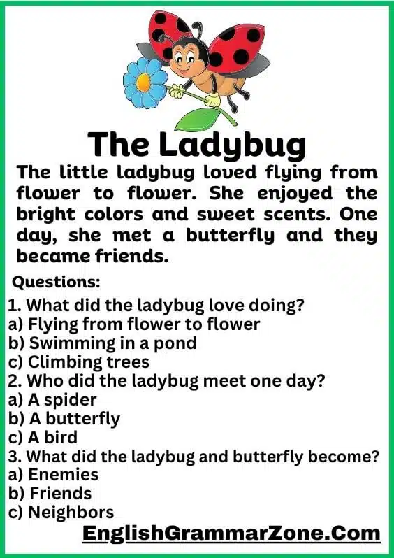 The ladybug Reading comprehension for kindergarten
