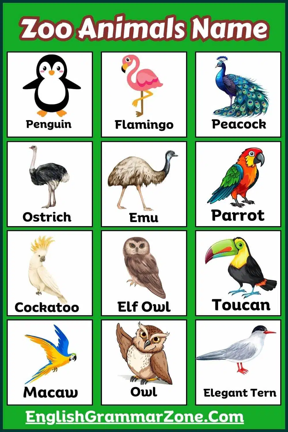 zoo animals with picture