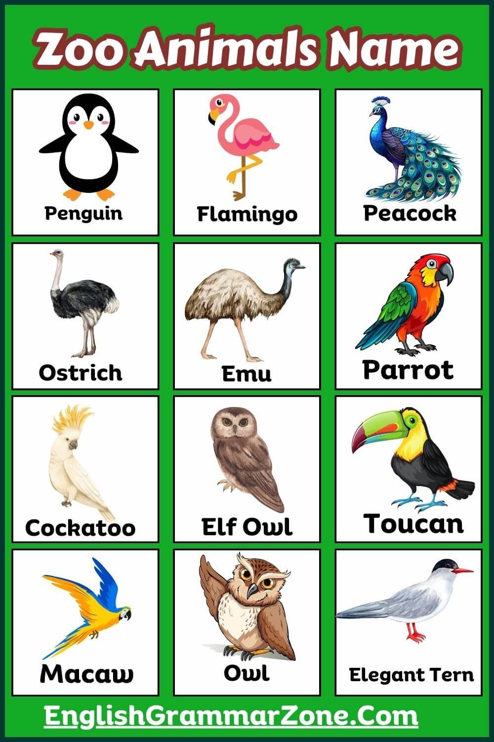 Common Zoo Animals List