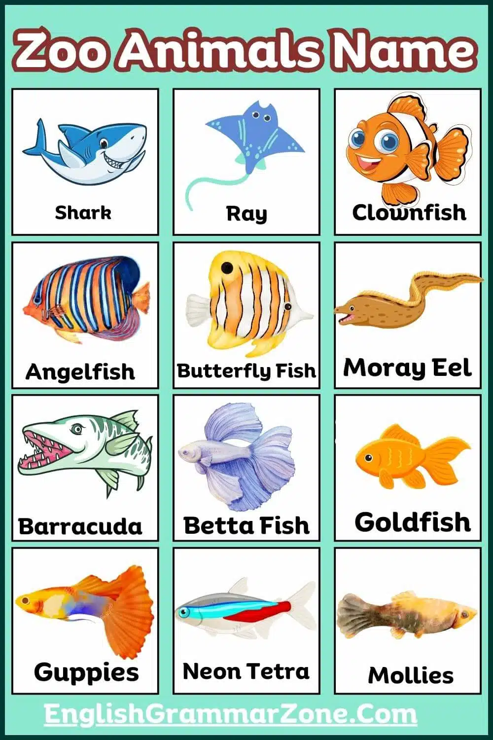 zoo animals with picture