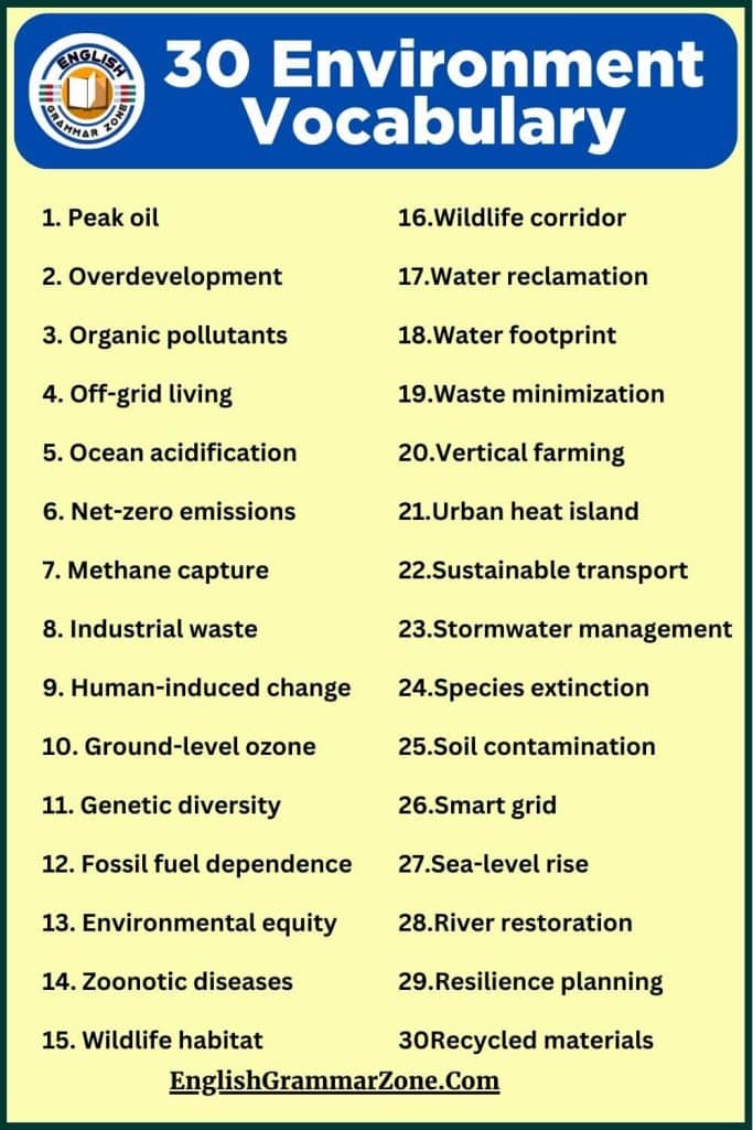 250 environment vocabulary