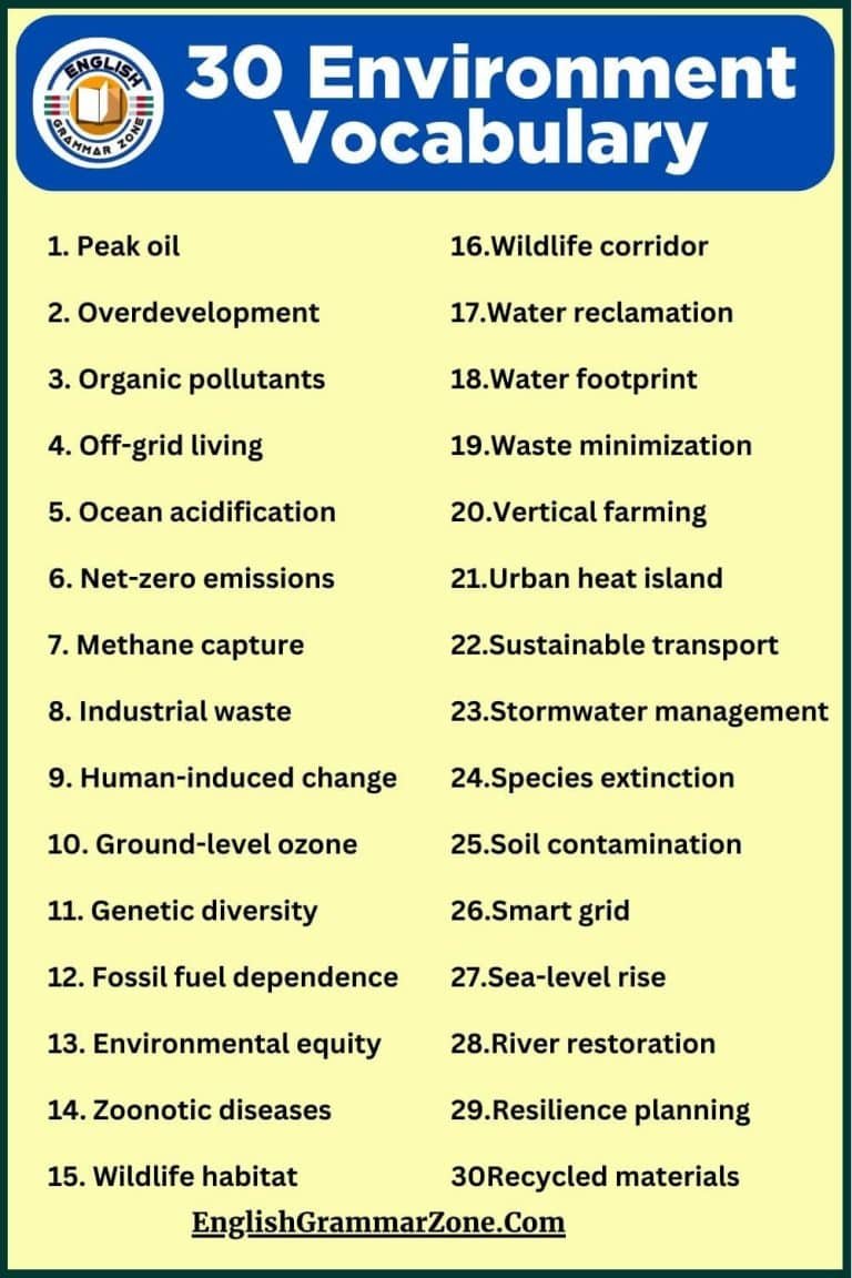 250 Environment Vocabulary Exercise