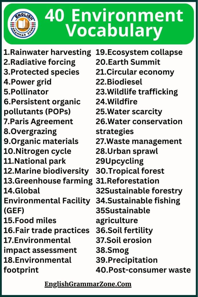 Environment Vocabulary