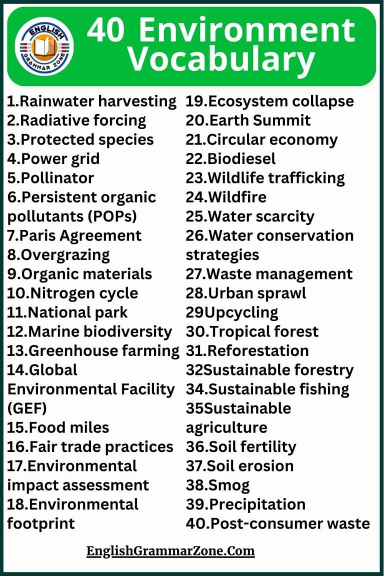 250 Environment Vocabulary Exercise