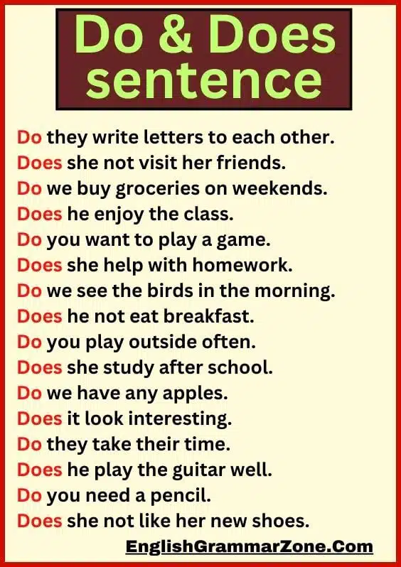 Do and does sentences examples questions
