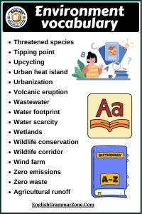 Environment Vocabulary Exercise