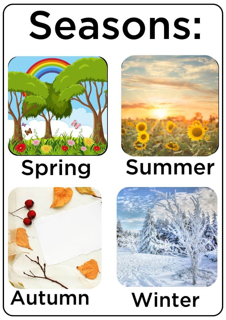 Days/Months/Seasons Worksheet