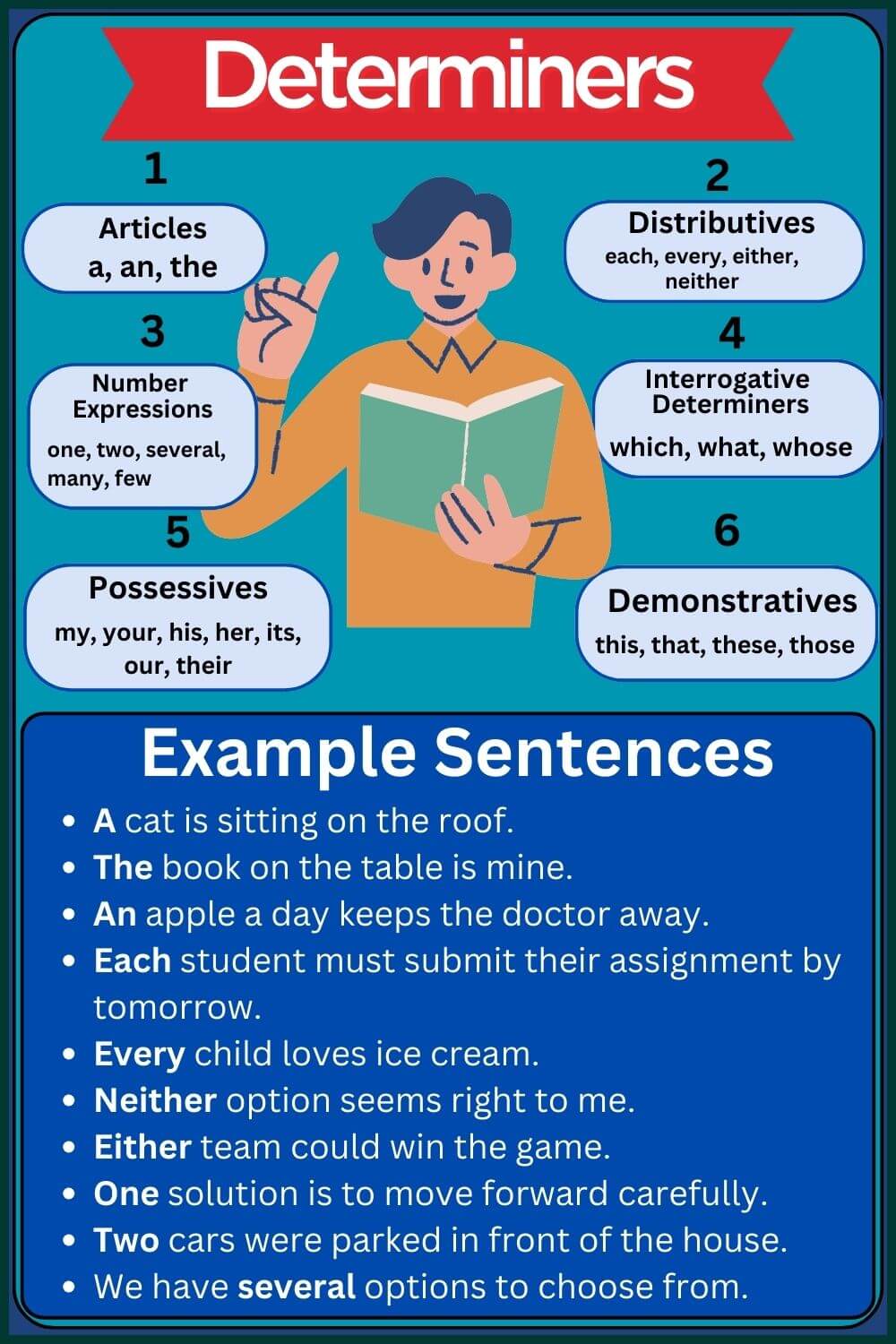 Types of determiners in english grammar with examples