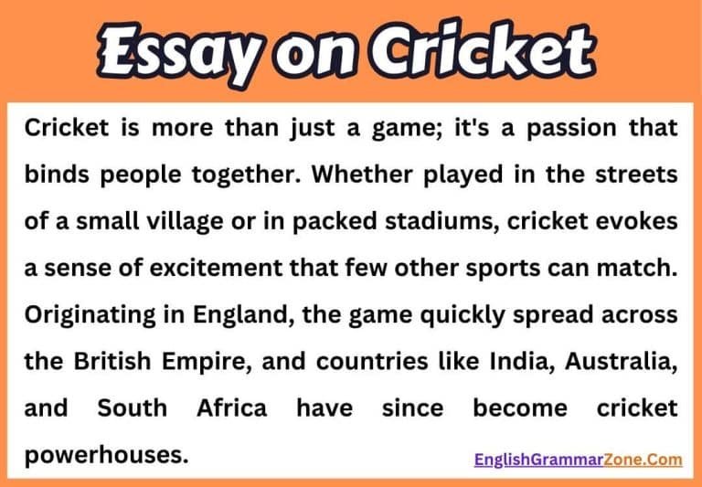 Essay On Cricket