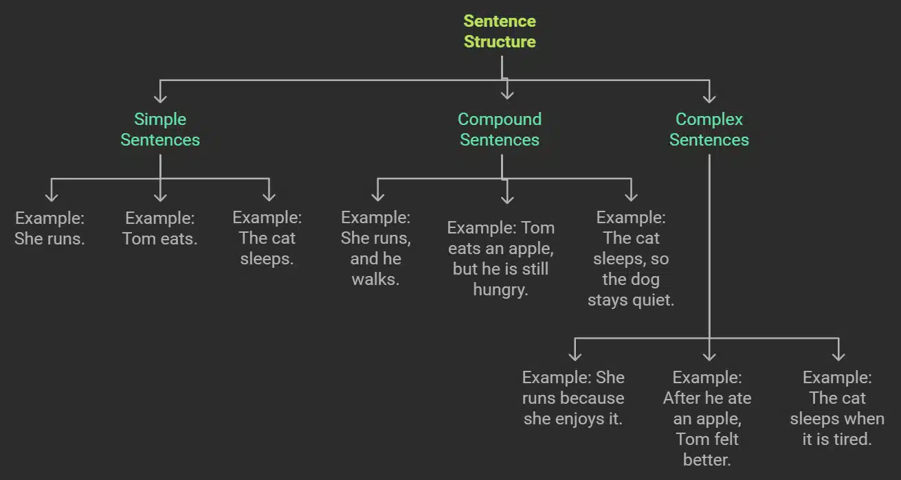 Sentence Structure