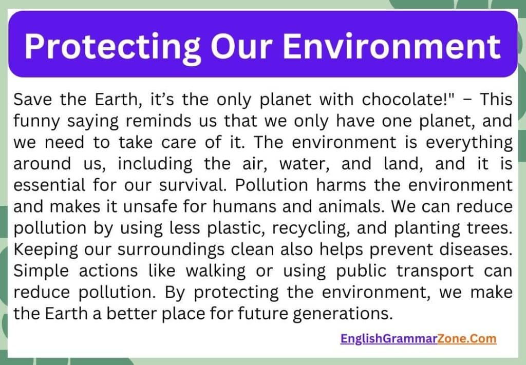 Essay on Environment Conservation