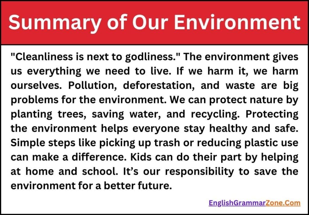 Essay on Our Environment