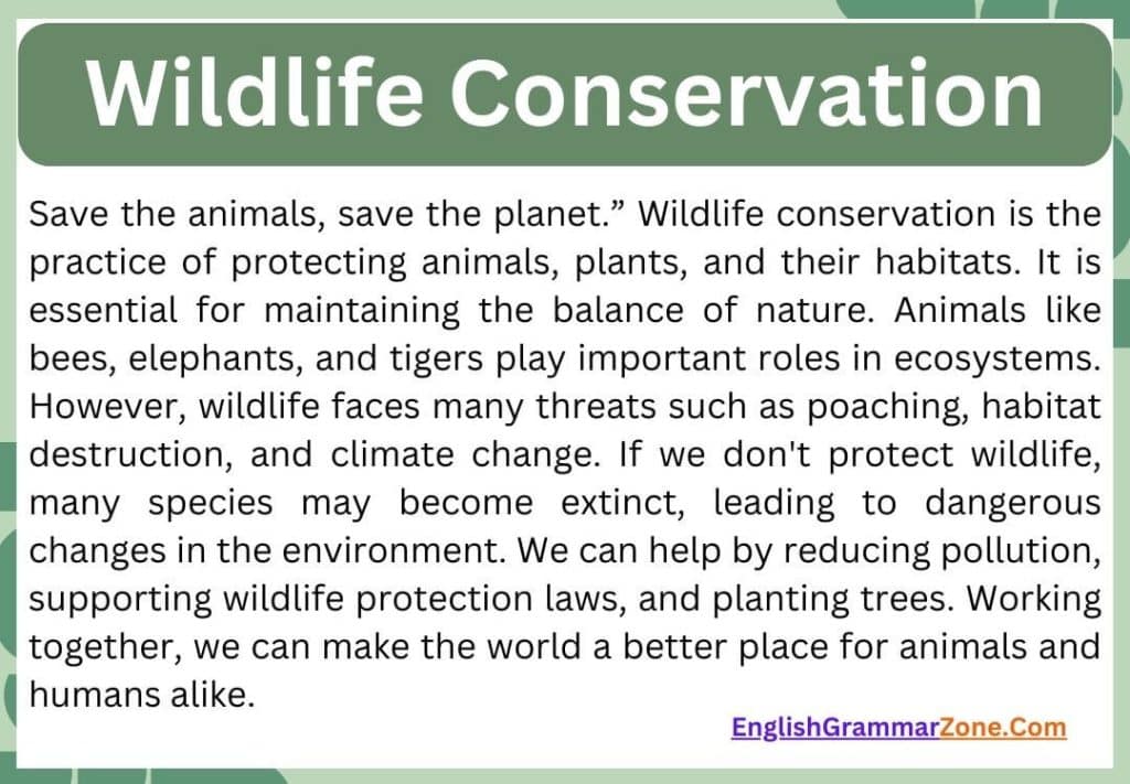 Summary of Wildlife Conservation