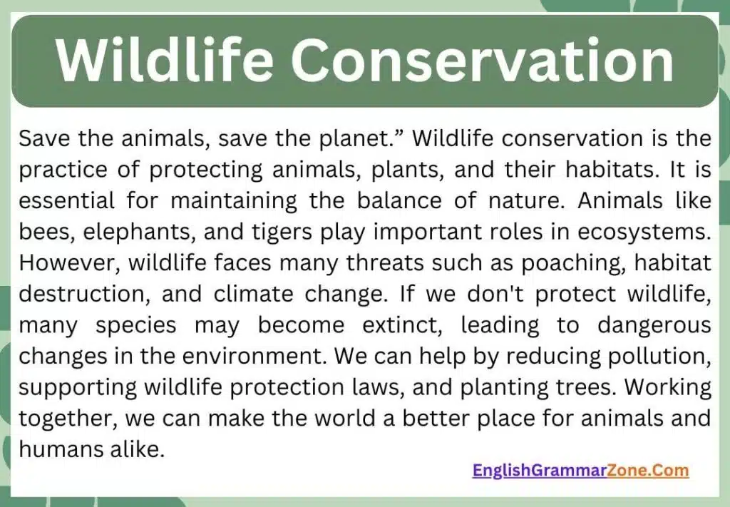 Summary of Wildlife Conservation
