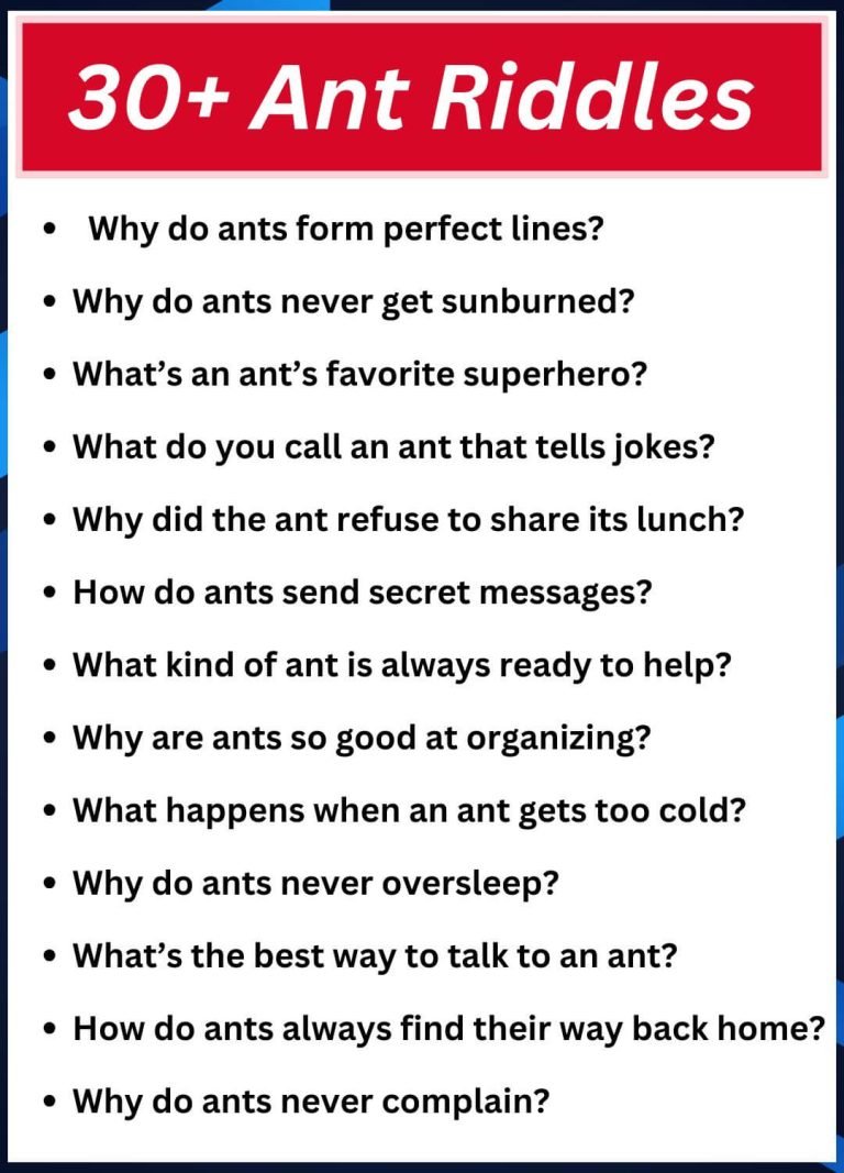 Cockroach Riddles 30+ Ant Riddles That Will Bug You With Fun!