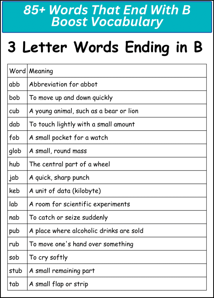 85+ Words That End With B Boost Vocabulary