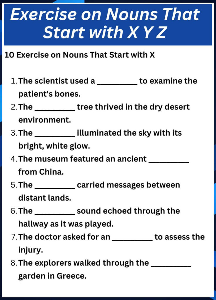 Exercise on Nouns That Start with X Y Z
