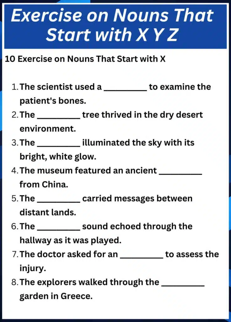 Exercise on Nouns That Start with X Y Z
