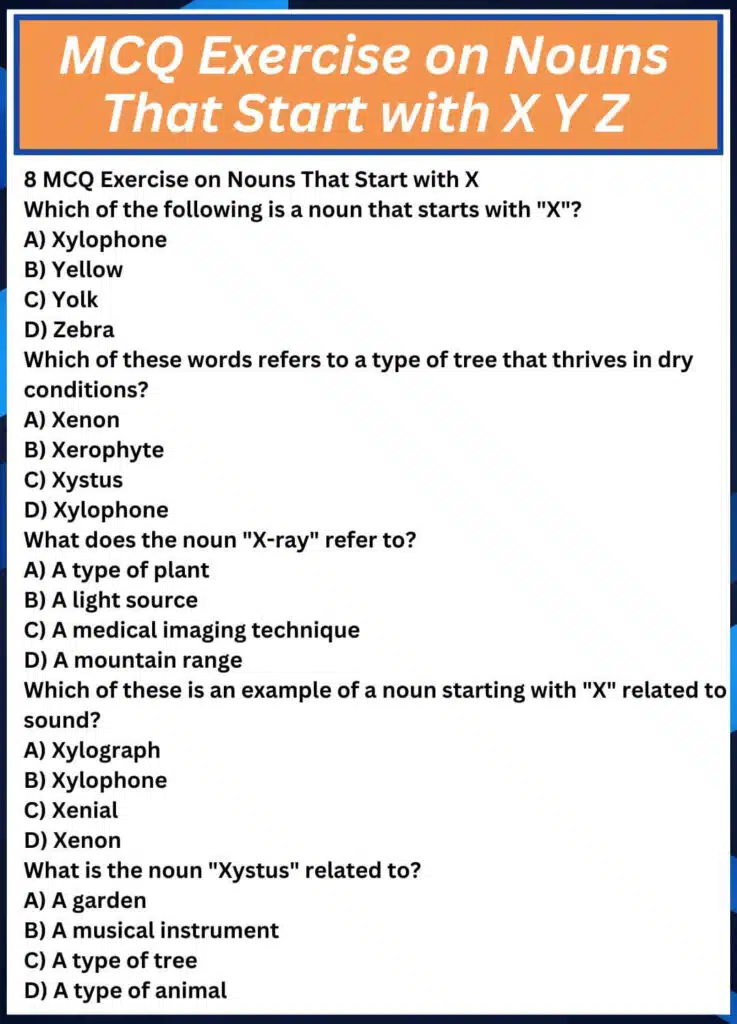 MCQ Exercise on Nouns That Start with X Y Z
