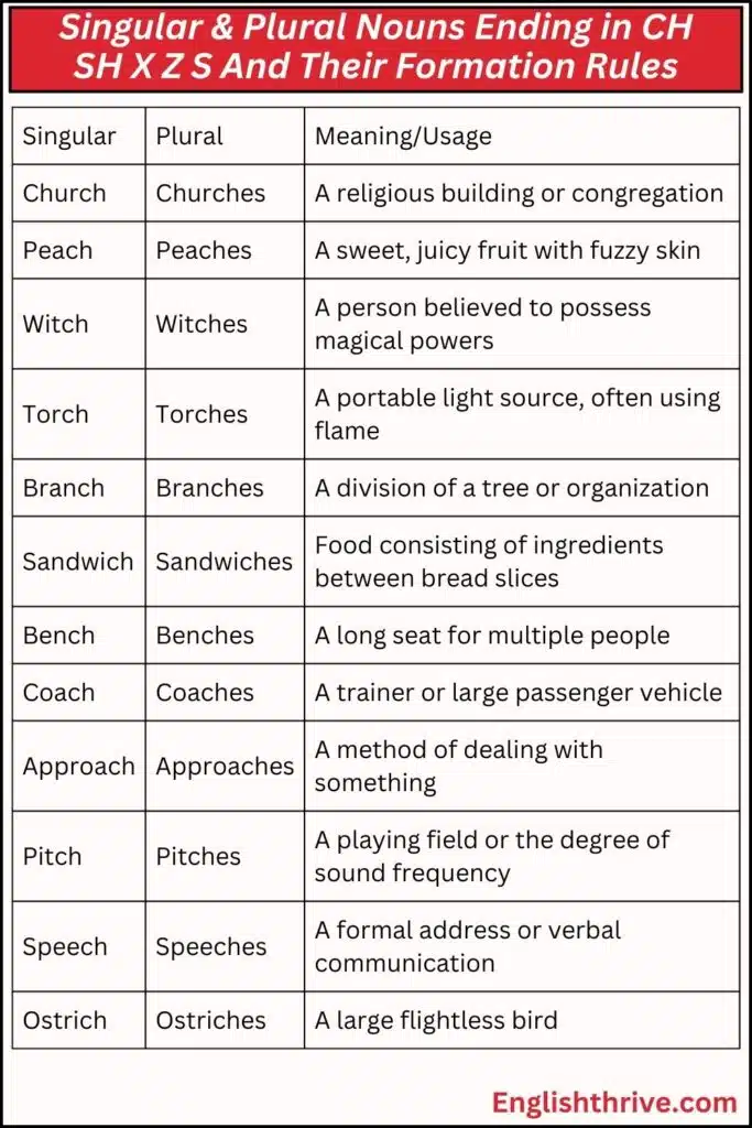 Singular & Plural Nouns Ending in CH SH X Z S And Their Formation Rules