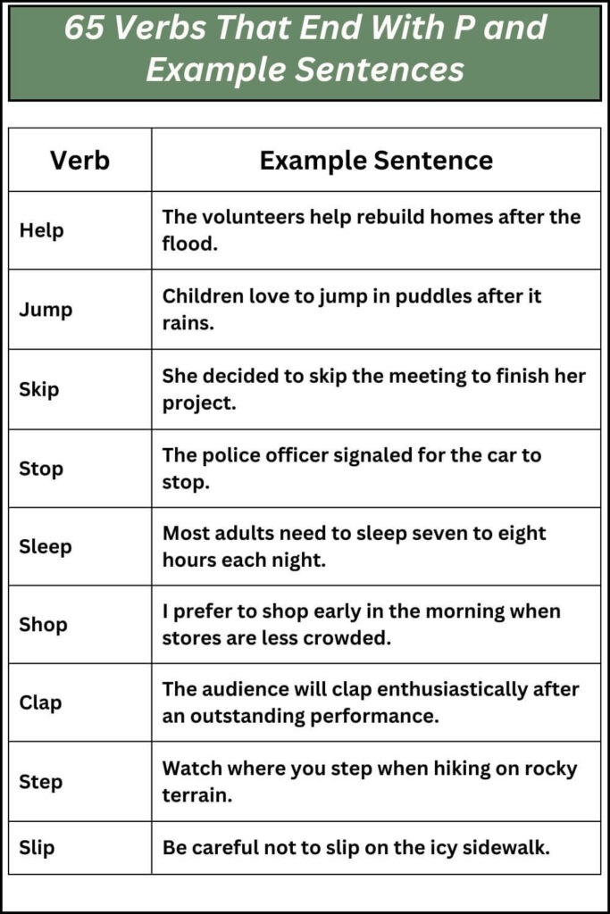 65 Verbs That End With P and Example Sentences