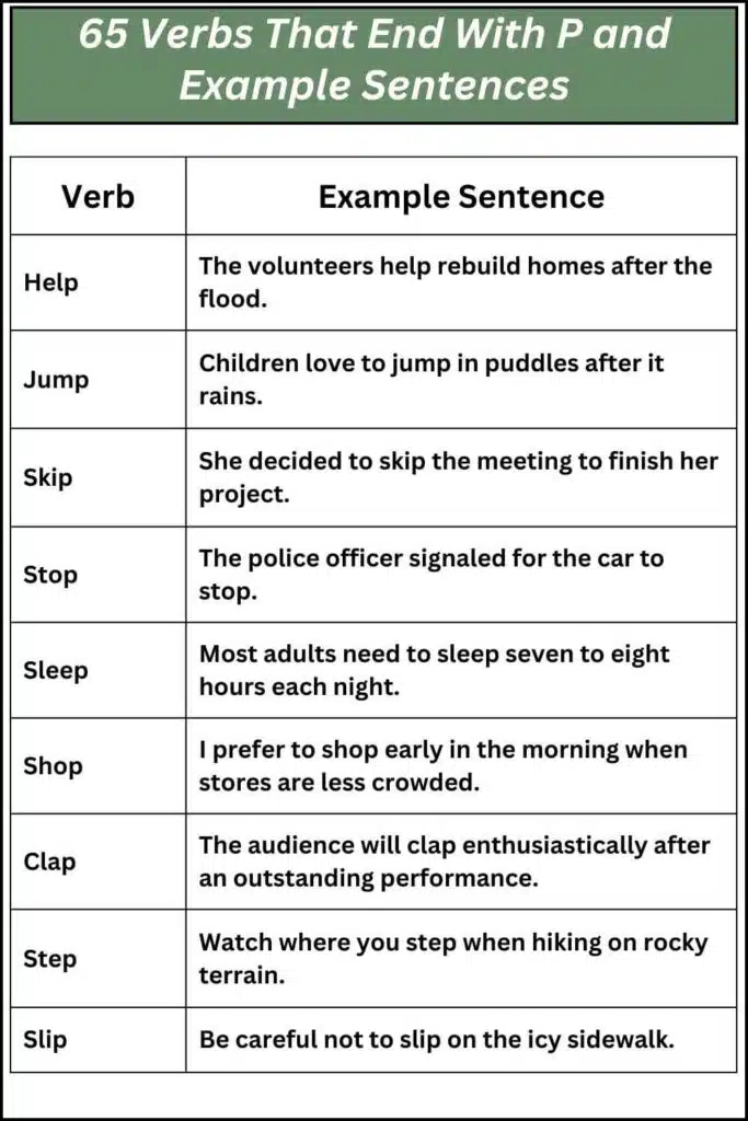 65 Verbs That End With P and Example Sentences