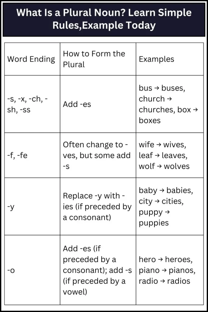 What Is a Plural Noun_ Learn Simple Rules,Example Today