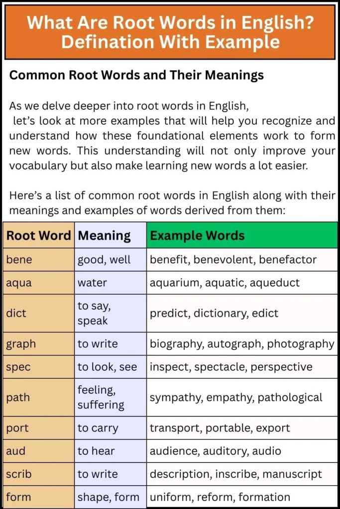 What Are Root Words in English_ Defination With Example
