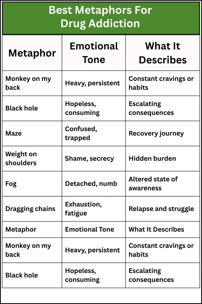 Best Metaphors For Drug Addiction